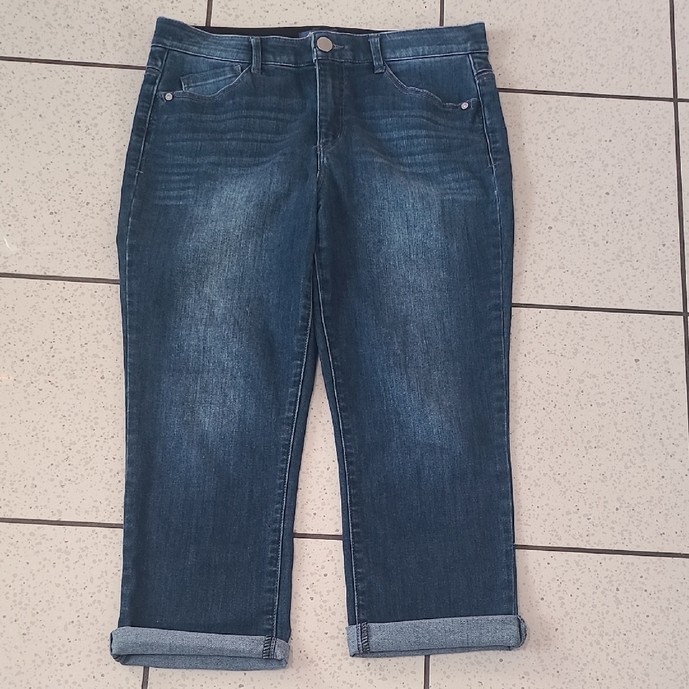 Democracy Indigo Cropped Jeans